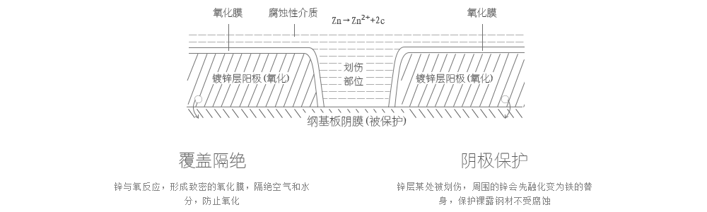 镀锌卷的结构